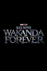 Black Panther: Wakanda por siempre